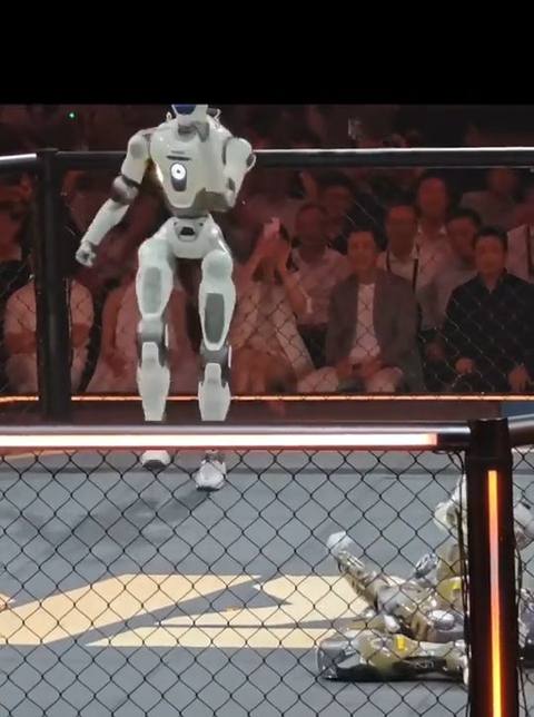 Robots Fighting Robots